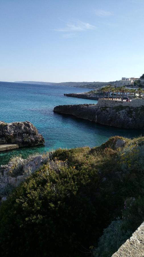 Castro  B&B La Mimosa المظهر الخارجي الصورة