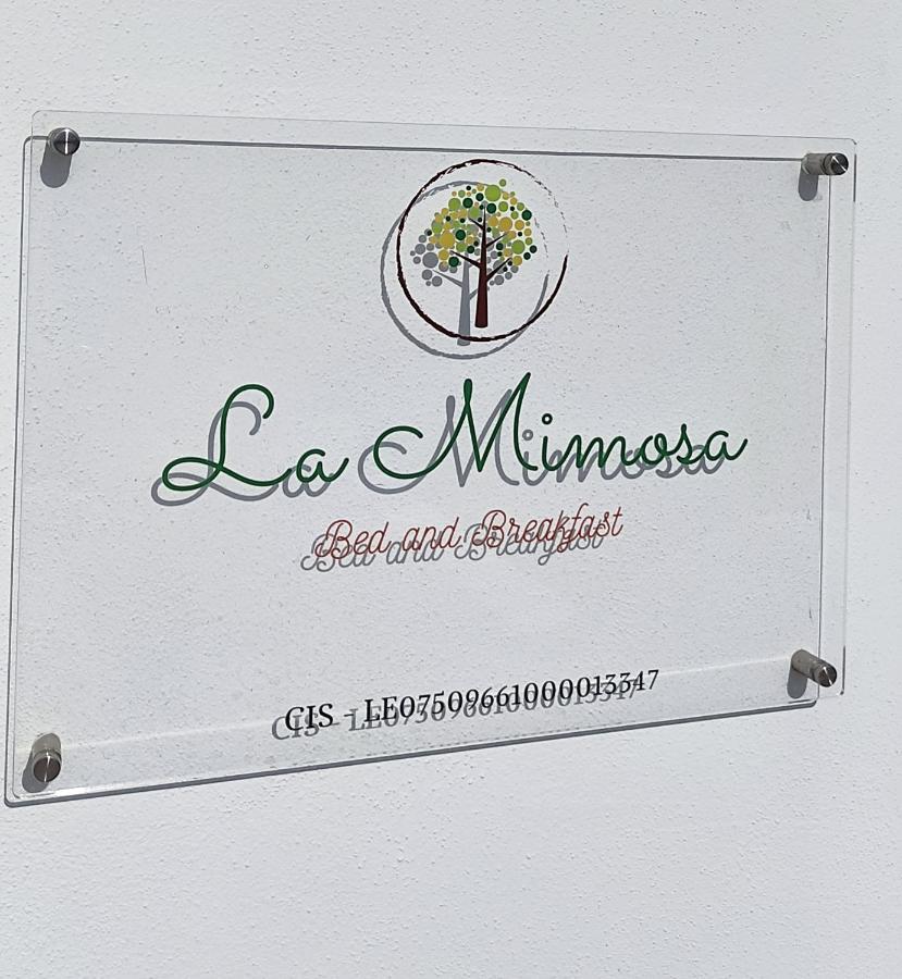Castro  B&B La Mimosa المظهر الخارجي الصورة